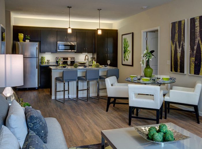 Citra at Windermere - Living room and kitchen