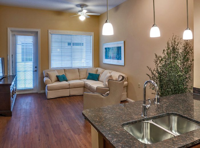 Sumter Grand in the Villages - Living room